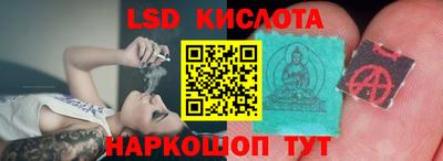 шишки Ставрополь
