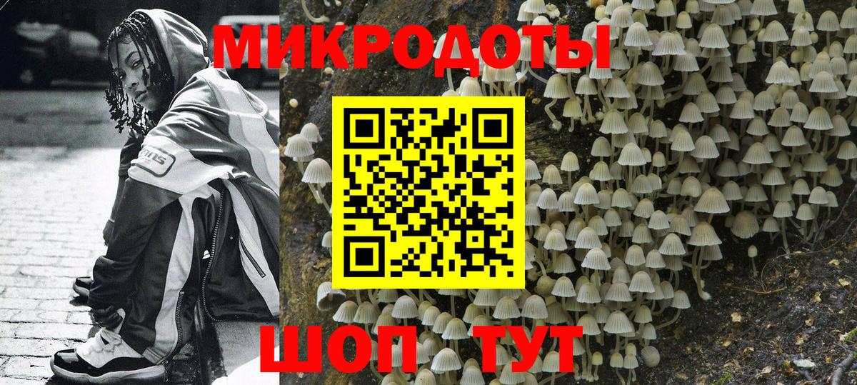 Галлюциногенные грибы мицелий Октябрьский