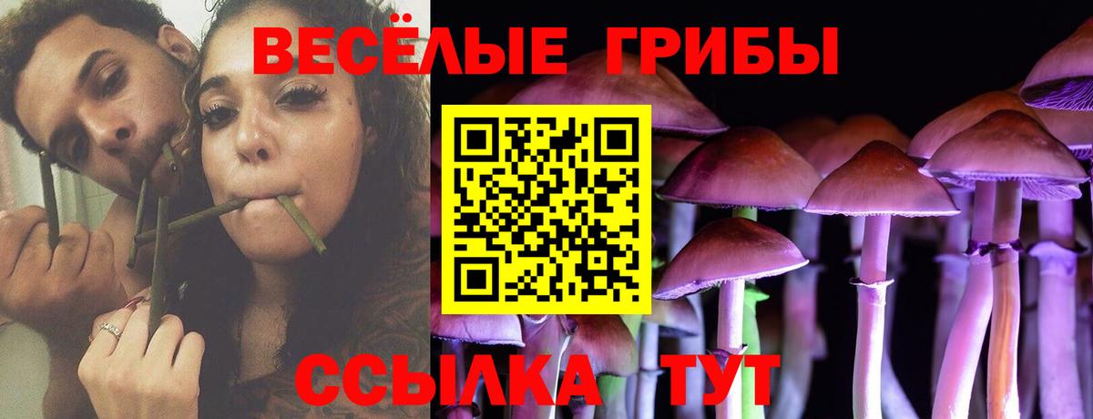 Октябрьский  Псилоцибиновые грибы прущие грибы  Вход с VPN 